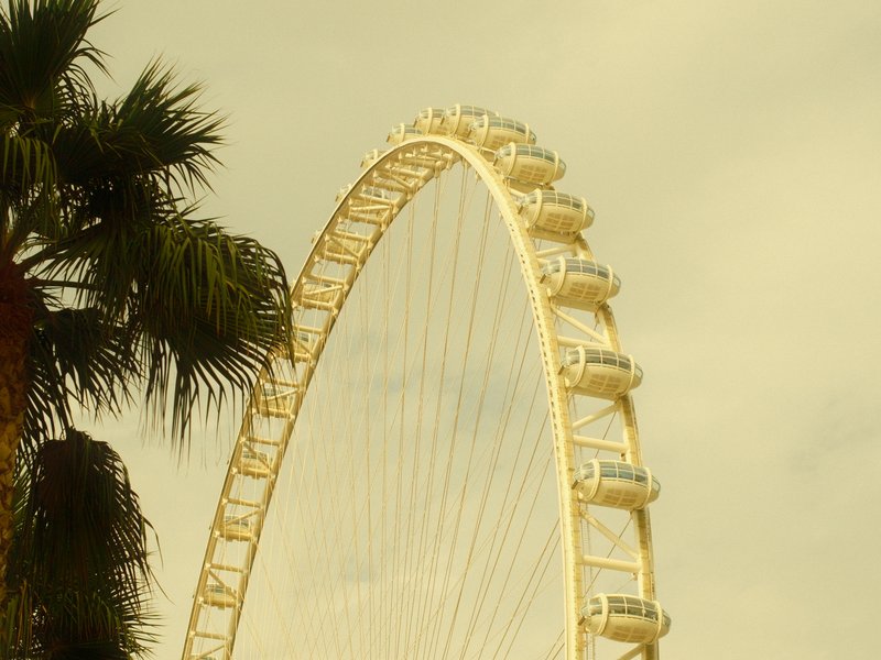 Close-up of a large ferris wheel against a cloudy sky, with palm leaves in the foreground.