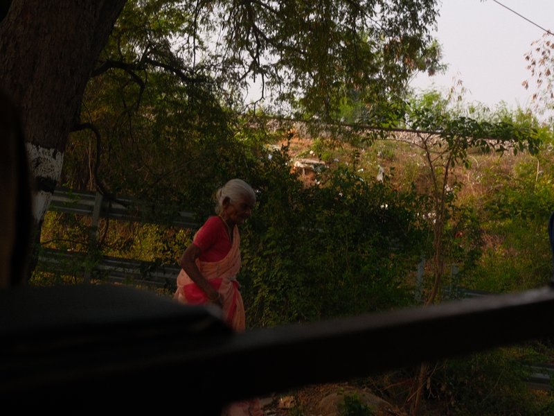A woman in a pink dress walking through a lush green area with trees and foliage in the background.