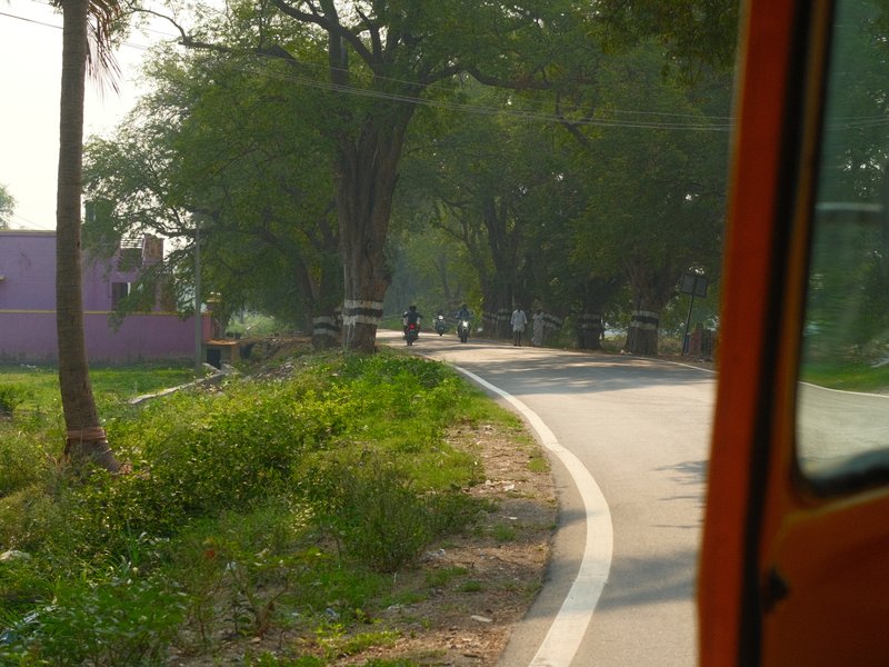 A winding rural road lined with trees and a glimpse of a village in the background.