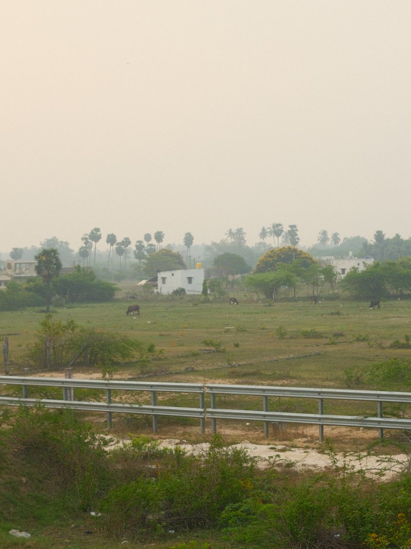 A hazy rural landscape featuring a white house surrounded by greenery and distant palm trees.