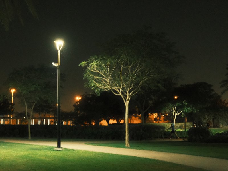 A dimly lit park at night with trees and a street lamp illuminating the path.