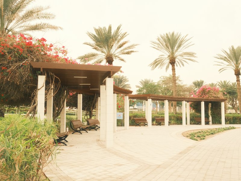 A serene outdoor park scene with palm trees and a wooden pavilion surrounded by greenery.