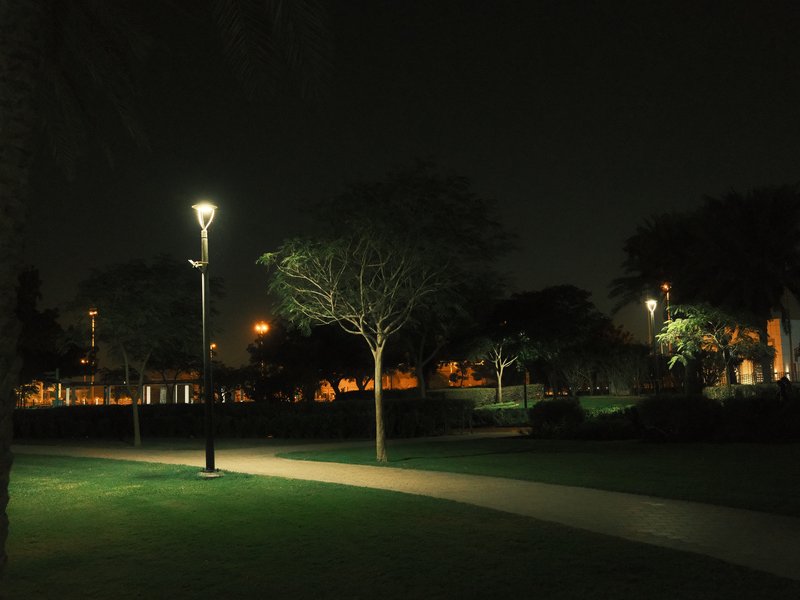 A dimly lit park at night with trees and a pathway illuminated by street lamps.
