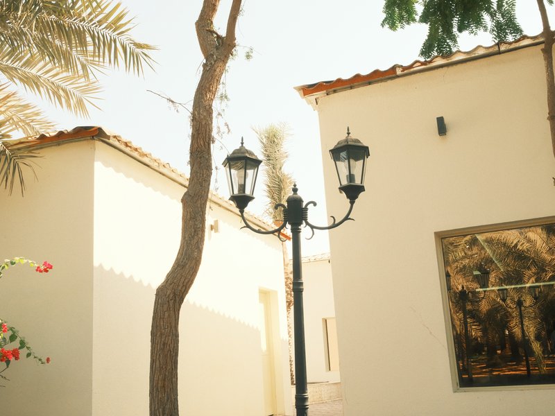 A street lamp beside a tree and white buildings under bright sunlight.