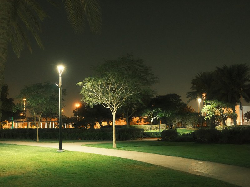 A serene park scene at night with trees and a pathway illuminated by streetlights.