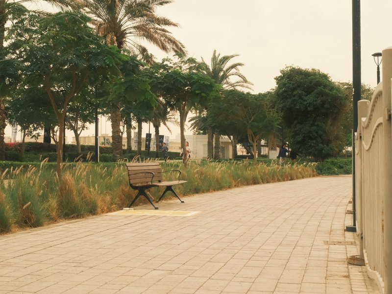 A quiet park pathway with a bench surrounded by greenery and palm trees under a cloudy sky.