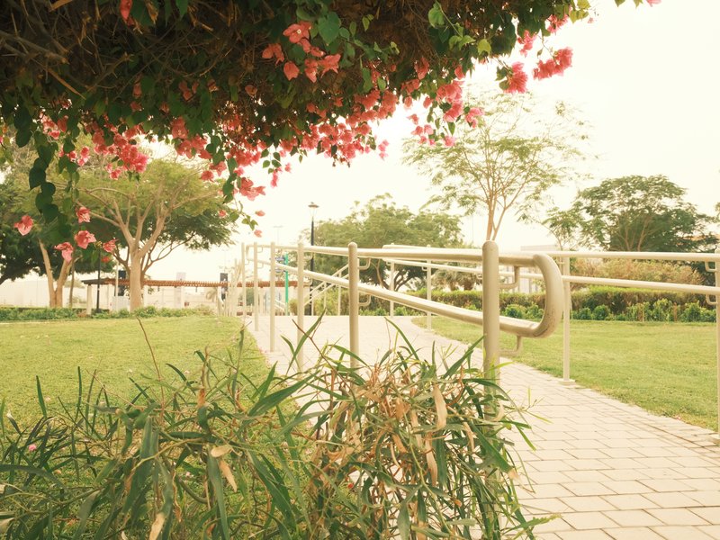 A serene park scene featuring a pathway lined with greenery and flowers, under soft light.