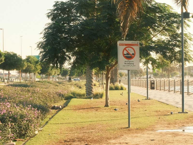 A park area with trees and a no smoking sign, featuring a pathway and flower beds.