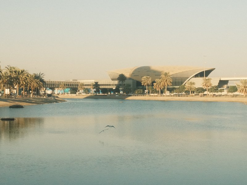 A serene view of a calm water body reflecting a modern building and palm trees under soft sunlight.