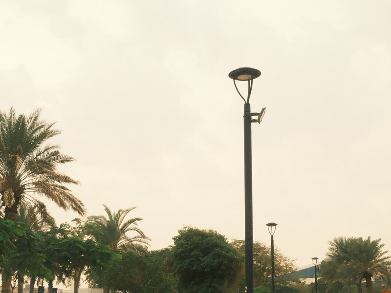 A street lamp surrounded by palm trees under a cloudy sky in an outdoor setting.
