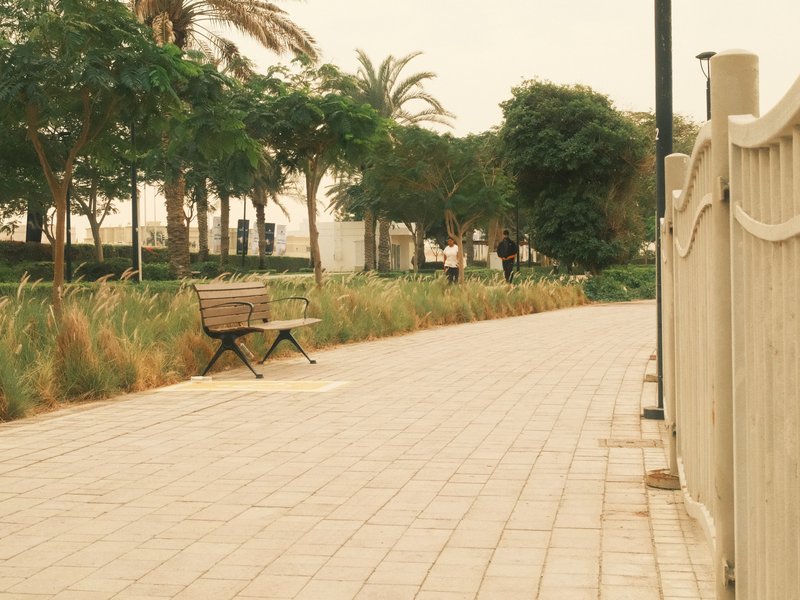 A quiet pathway lined with palm trees and a bench under a hazy sky.