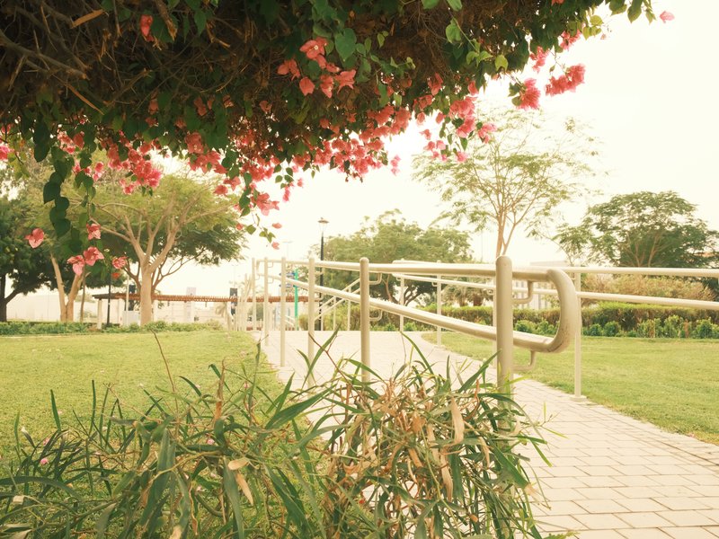 A pathway surrounded by greenery and flowers in a park setting, with a gentle slope and railing.