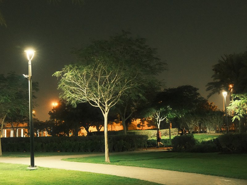 Night scene in a park with trees and lampposts illuminating the pathway.