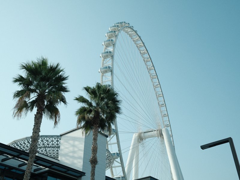 A tall ferris wheel against a clear blue sky, framed by palm trees.
