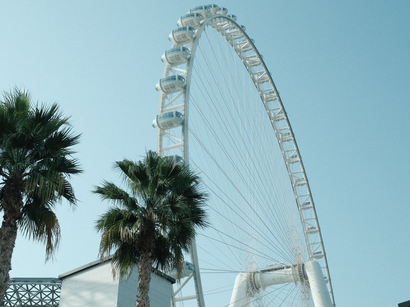 A tall white ferris wheel against a clear blue sky, framed by palm trees.