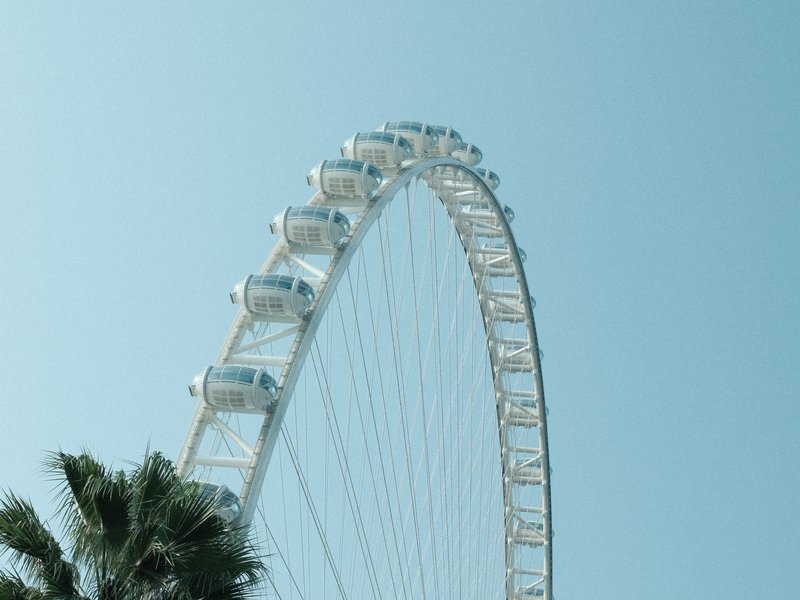 A close-up view of a large Ferris wheel against a clear blue sky, with palm trees in the foreground.