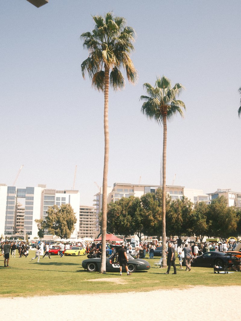 A vibrant outdoor car show with palm trees and a crowd of people in a sunny urban park.