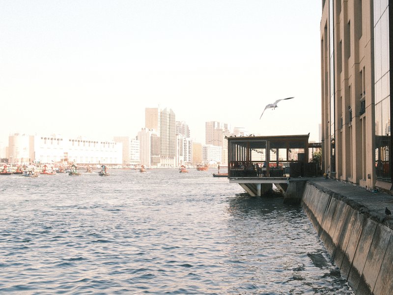A riverside view featuring a building, water, and distant city skyline under a bright sky.