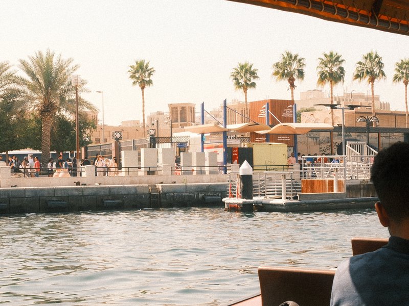 A waterfront scene with palm trees, buildings, and people enjoying leisure activities under a sunny sky.