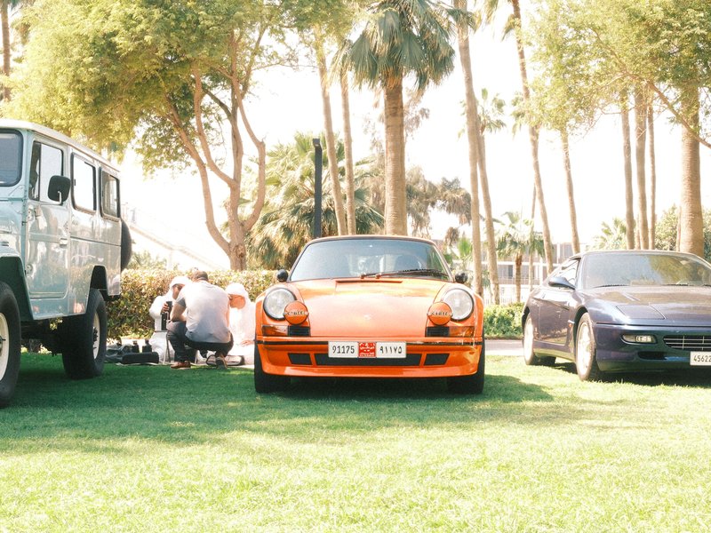 An orange sports car parked on green grass with palm trees in the background and two other cars nearby.