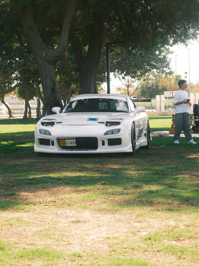 A white sports car parked on green grass with a person standing nearby in a park.