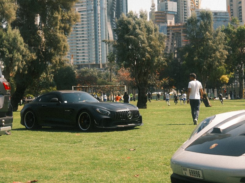 A sleek black sports car parked on green grass with people in the background enjoying a sunny day.