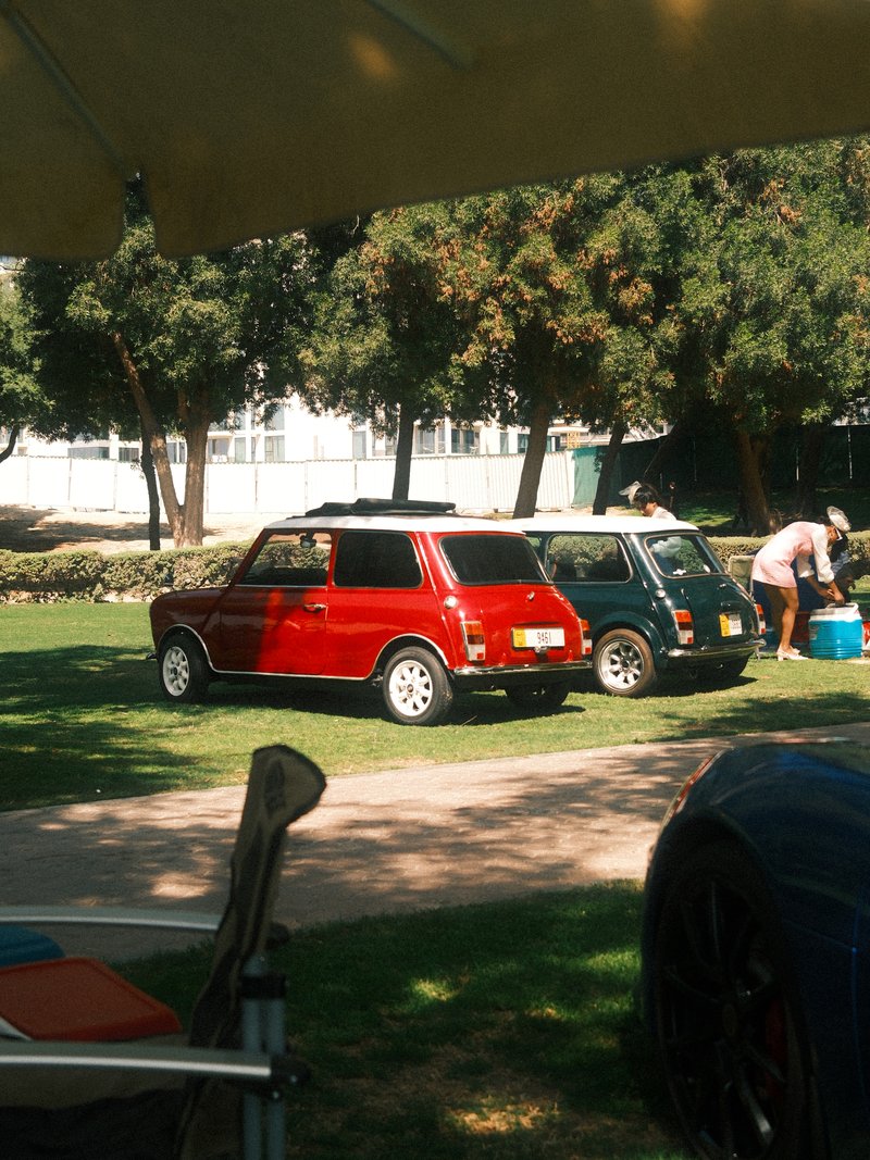 Two classic cars parked on a grassy area with trees in the background and a person preparing nearby.