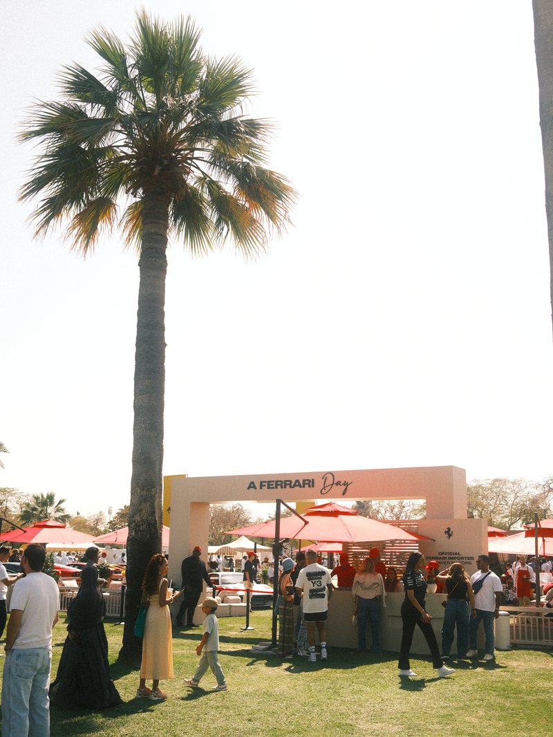 A lively outdoor event with people gathered under a palm tree and a festive entrance sign.