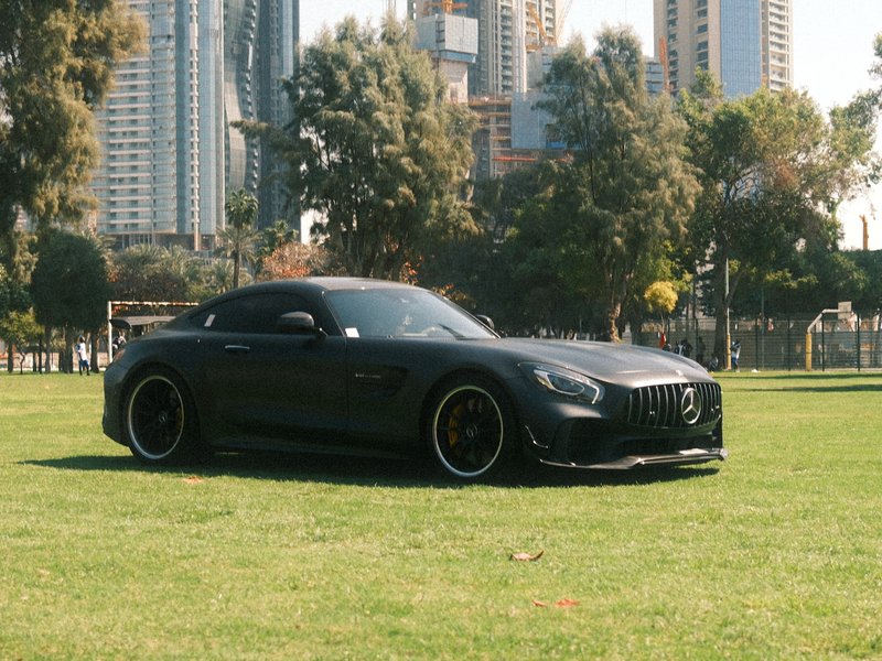 A sleek black sports car parked on green grass with tall buildings in the background.