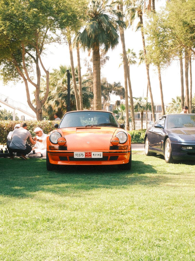 An orange sports car parked on green grass with palm trees in the background and people sitting nearby.
