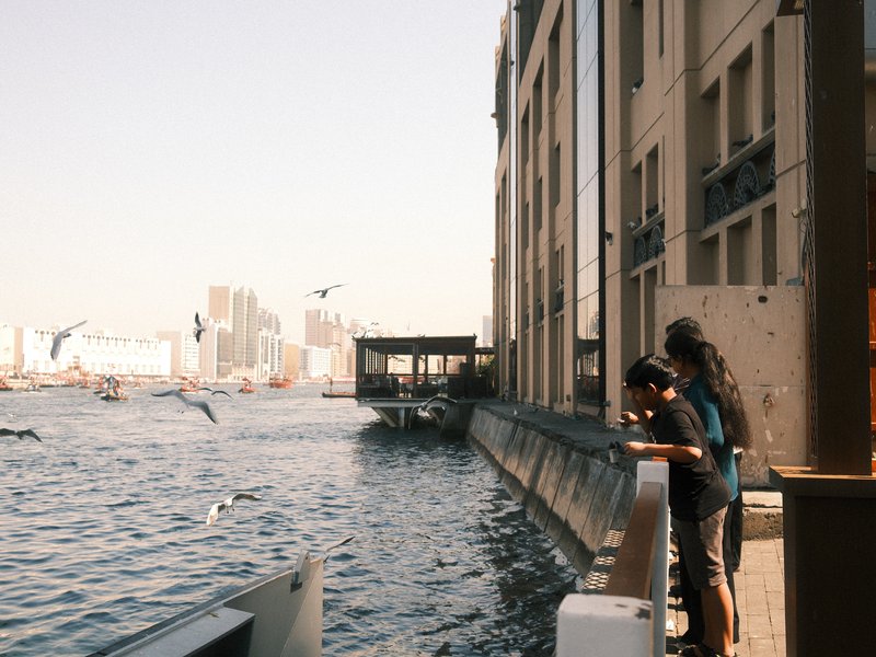 Two people leaning over a railing by a river, with buildings and birds in the background.