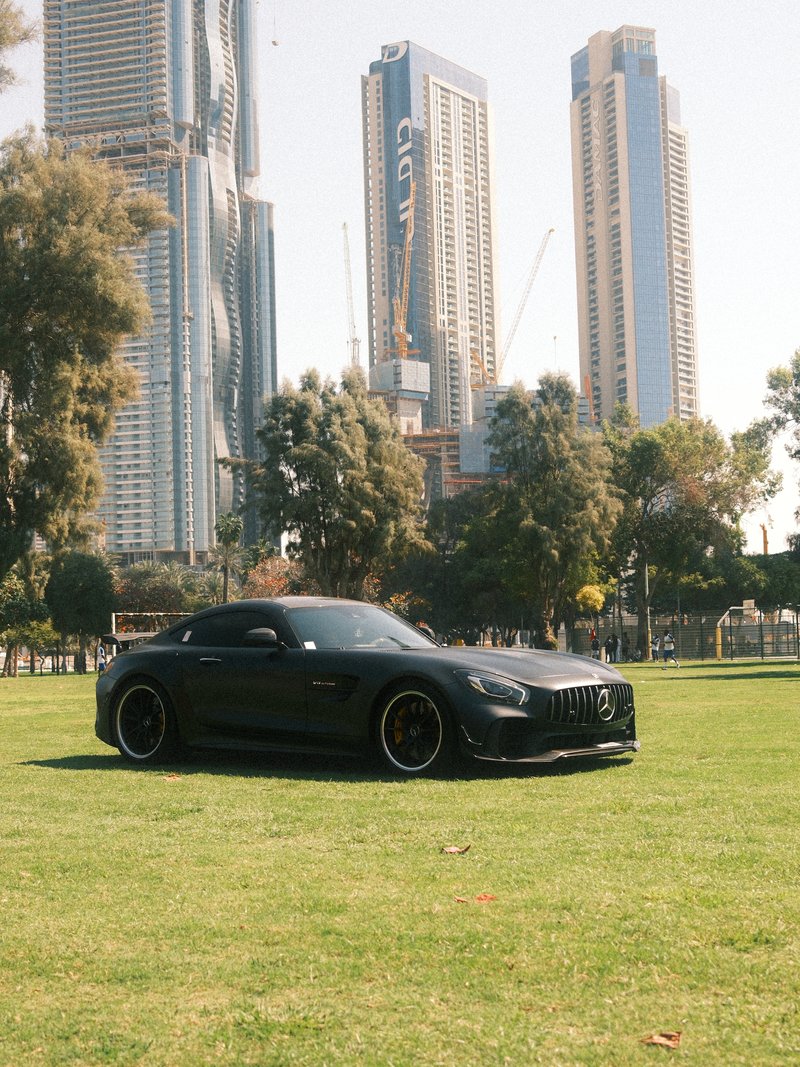 A sleek black sports car parked on green grass with tall skyscrapers in the background under clear blue skies.