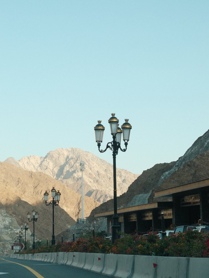 A street view featuring a vintage lamp post with mountains in the background under a clear sky.