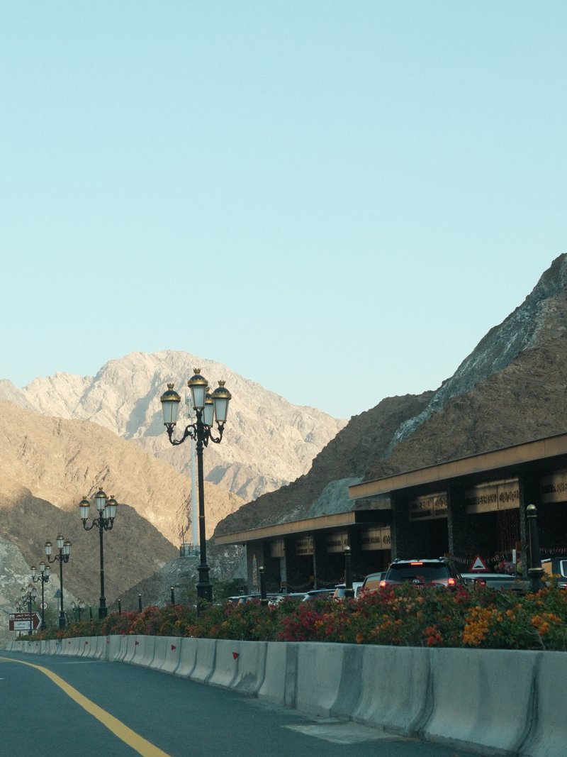 A scenic view of a mountain road with vintage street lamps and colorful flowers along the roadside.