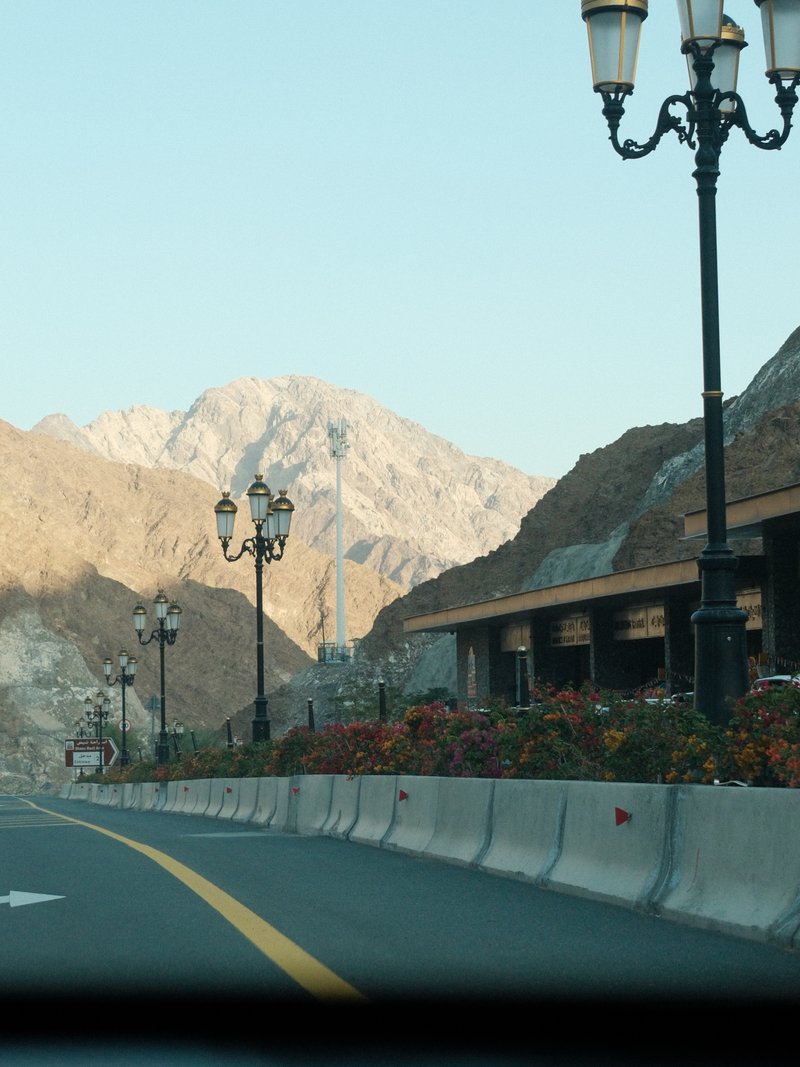 A winding road with a mountain backdrop and street lamps, showcasing a scenic view.