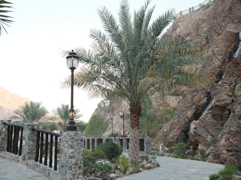 A scenic pathway with palm trees and a stone railing, set against rocky hills.