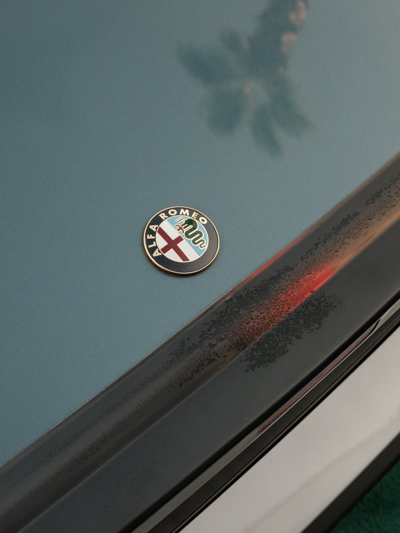 Close-up of an Alfa Romeo badge on a car's surface with reflections and subtle colors.