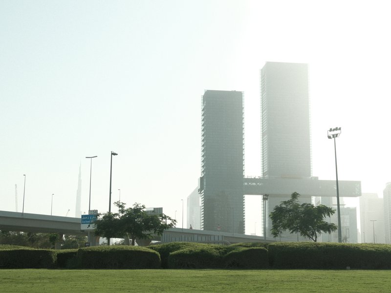 Tall modern buildings shrouded in haze with green bushes in the foreground.