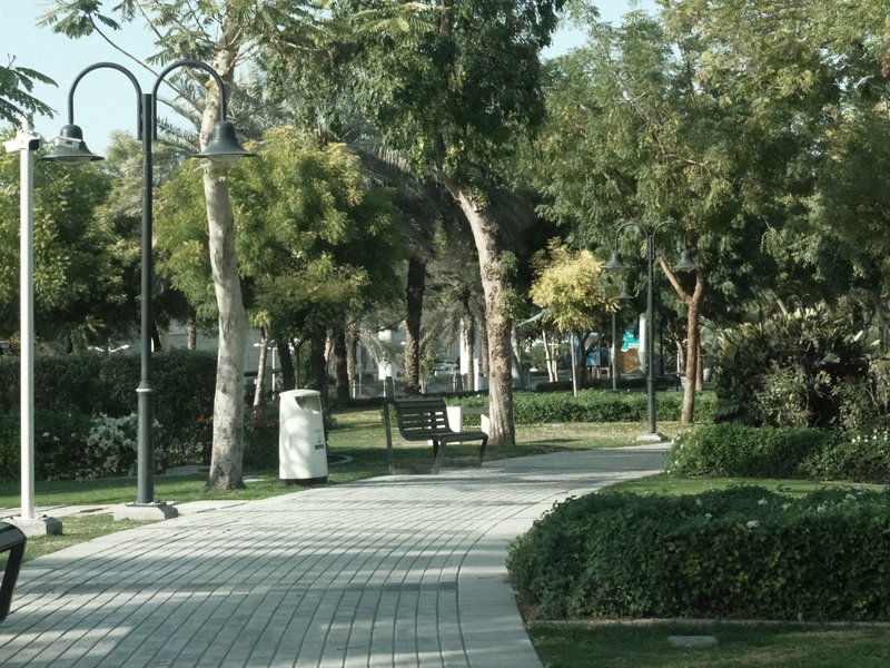 A serene park pathway lined with trees and benches under clear skies.