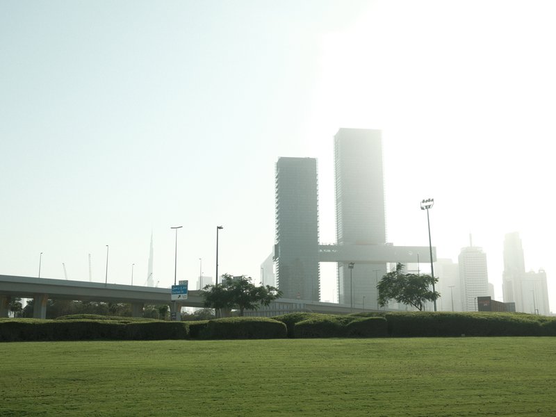 Silhouetted skyscrapers against a bright sky with a grassy foreground.