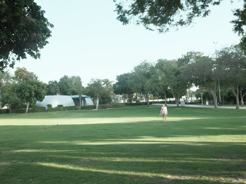 A person walking on a grassy field surrounded by trees and buildings under a clear sky.