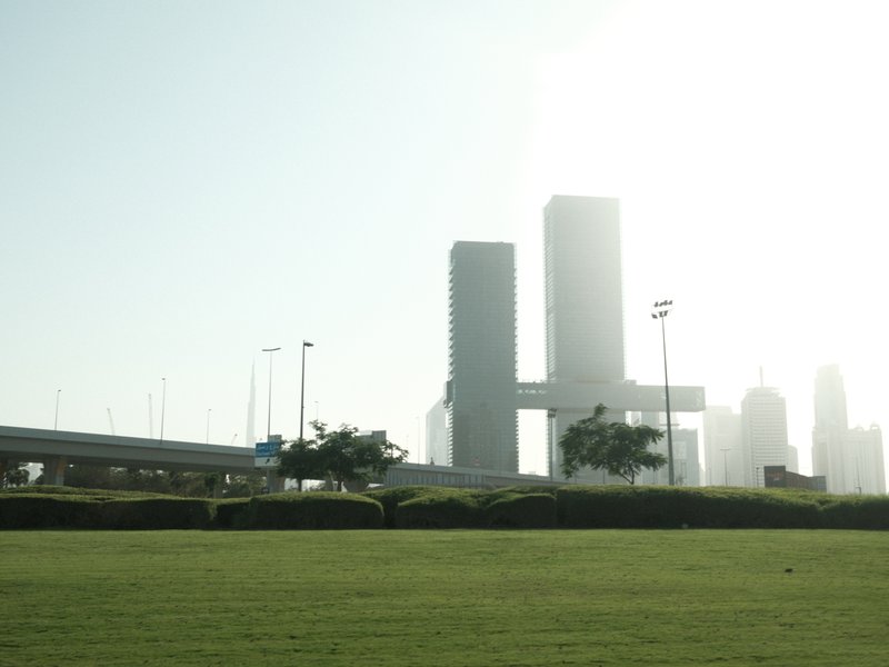 Silhouetted skyscrapers against a bright sky with a grassy foreground.
