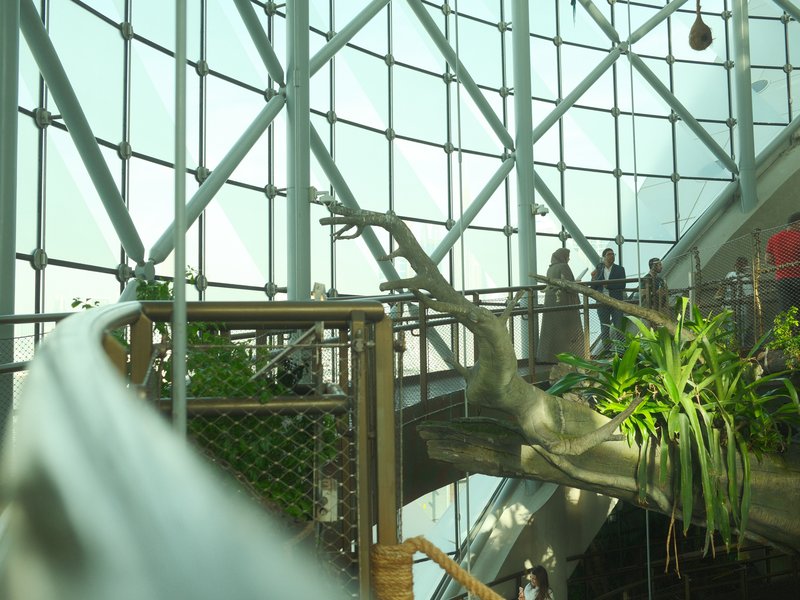 Interior view of a modern building with glass walls, featuring a curved railing and greenery.