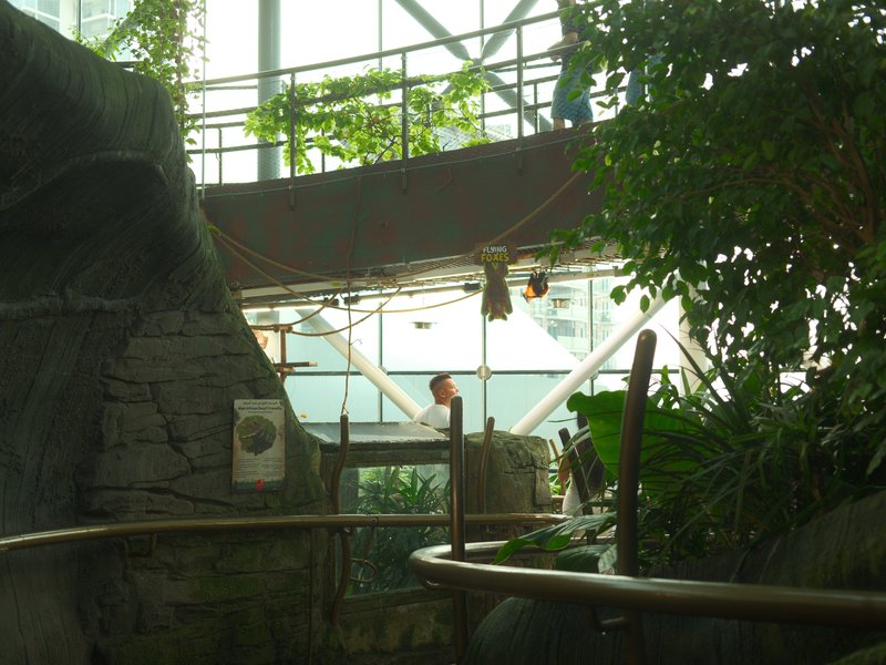 Indoor botanical garden with lush greenery and a stone structure, featuring a person in the background.