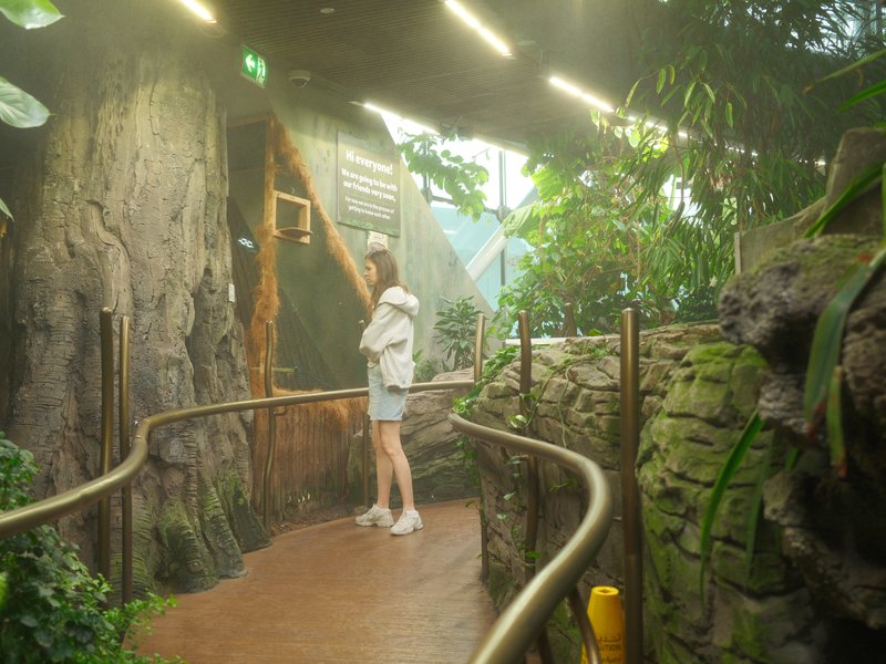 A person in a white outfit stands in a lush indoor garden with greenery and a winding path.