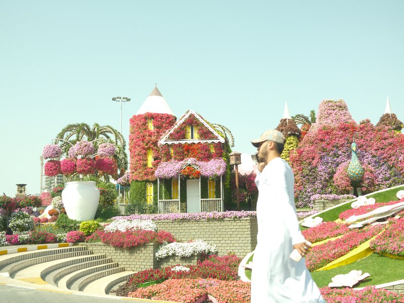 A man in traditional attire walks past a vibrant flower garden with colorful floral structures and a house.