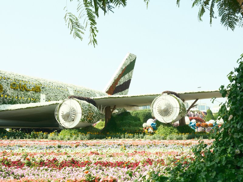 An airplane partially obscured by colorful flowers in a garden setting.