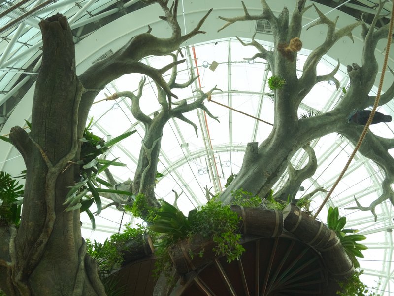 Indoor botanical garden with large trees and a glass ceiling, showcasing greenery and natural light.