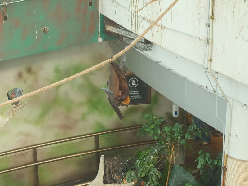 A close-up view of a rusted metal structure with a plant and an old clock in a dimly lit indoor setting.