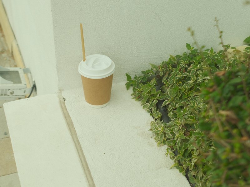 A disposable coffee cup sits on a white ledge next to a green bush.